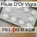 Vigra Gold Pill 16